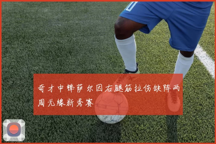 奇才中锋萨尔因右腿筋拉伤缺阵两周无缘新秀赛
